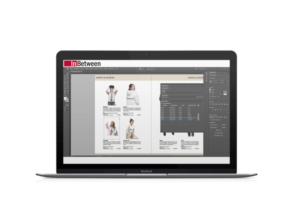 database-publishing-softwareIB DTP Client laptop mockup 1