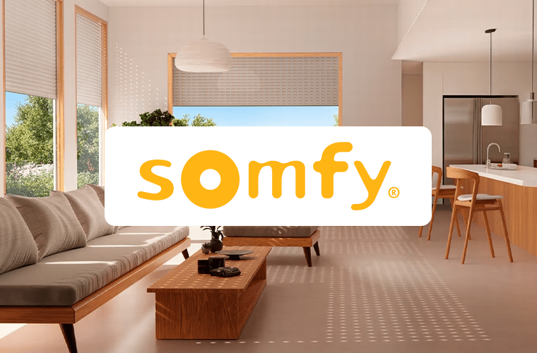 InBetween Success Story: Somfy database-publishing-softwareInBetween Somfy Success Story Web